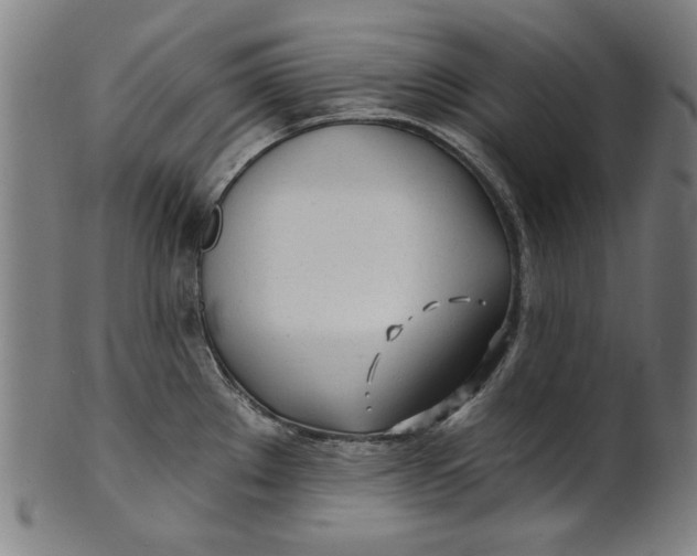 X0000100841289200807111142