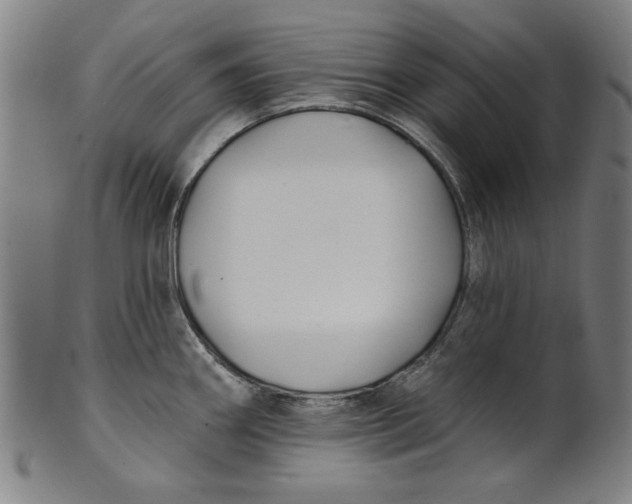 X0000100841290200807111142