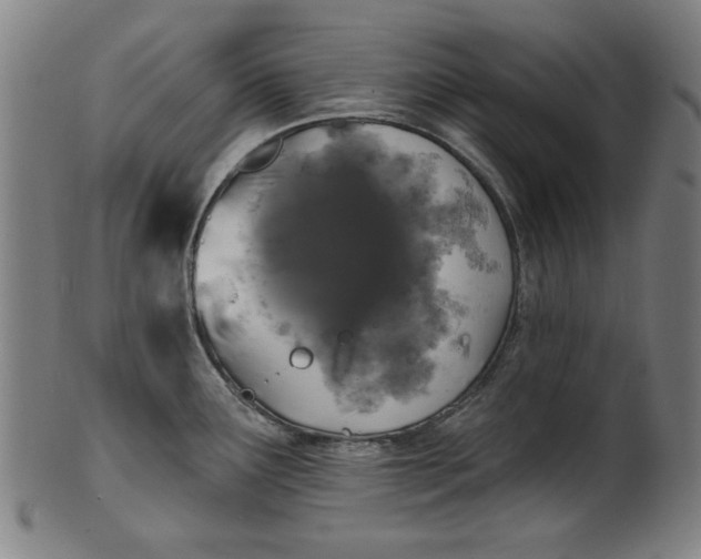 X0000100841291200807111142