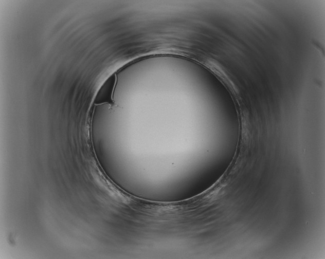 X0000100841292200807111142