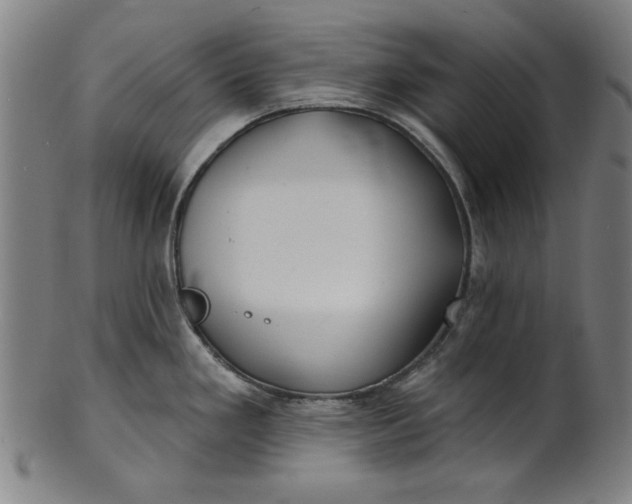 X0000100841293200807111142