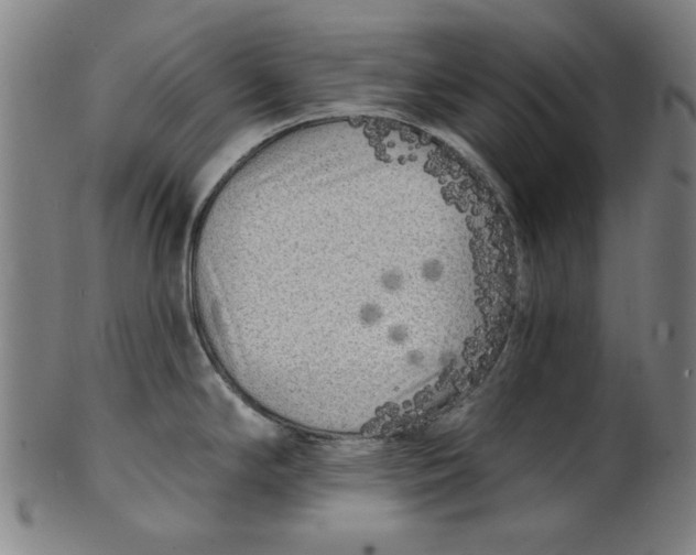 X0000100841294200807111142