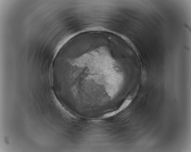 X0000100841295200807111142