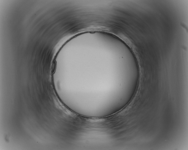 X0000100841296200807111142