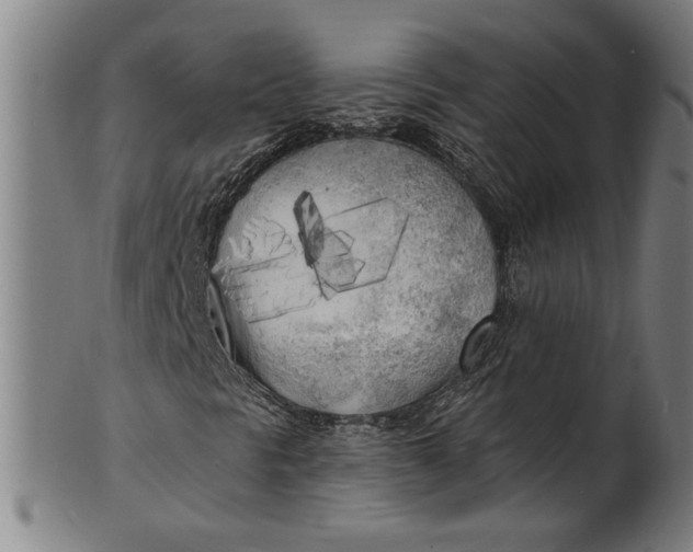 X0000100841297200807111141