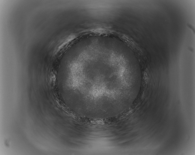 X0000100841302200807111141