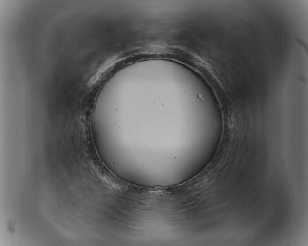 X0000100841304200807111141