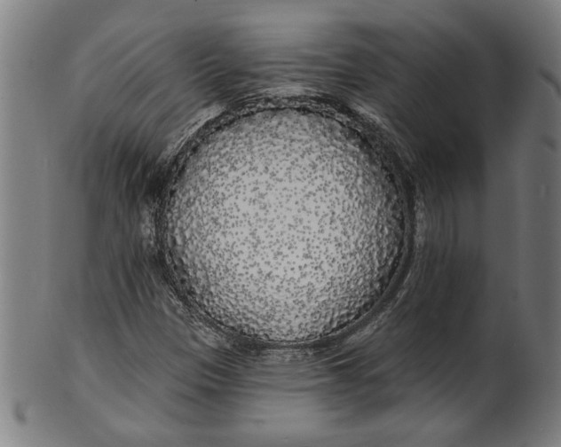 X0000100841305200807111141