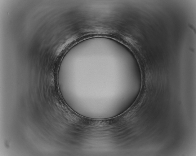 X0000100841307200807111141