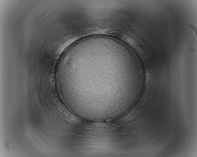 X0000100841308200807111141