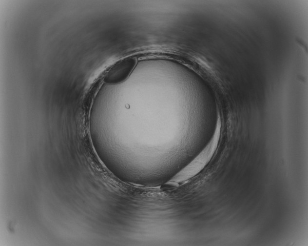 X0000100841310200807111142