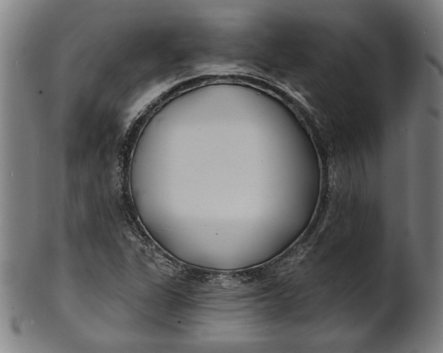 X0000100841311200807111142