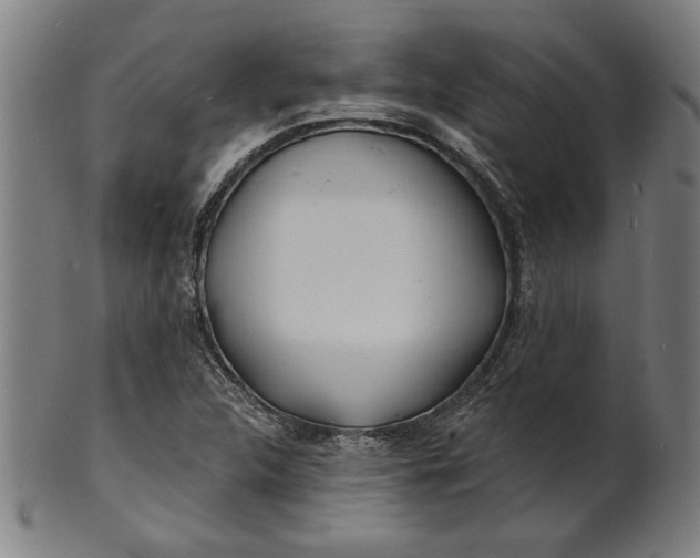 X0000100841312200807111142