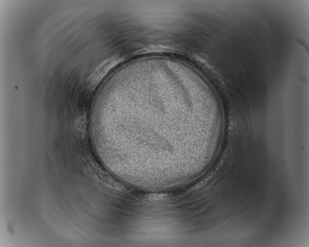 X0000100841313200807111142