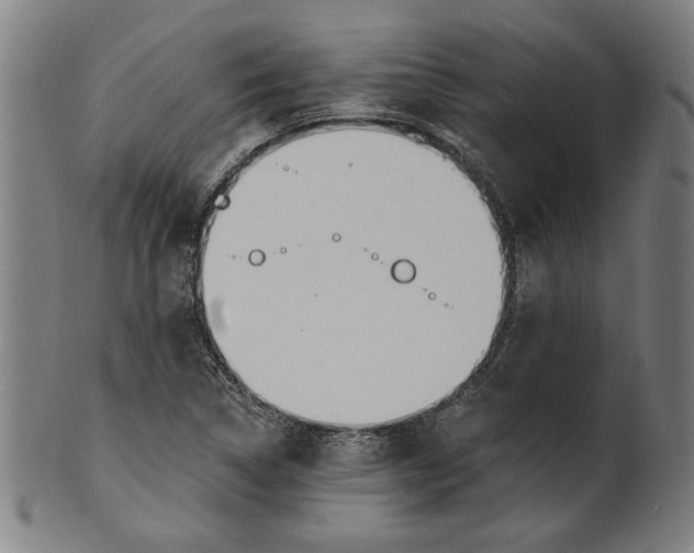 X0000100841314200807111142