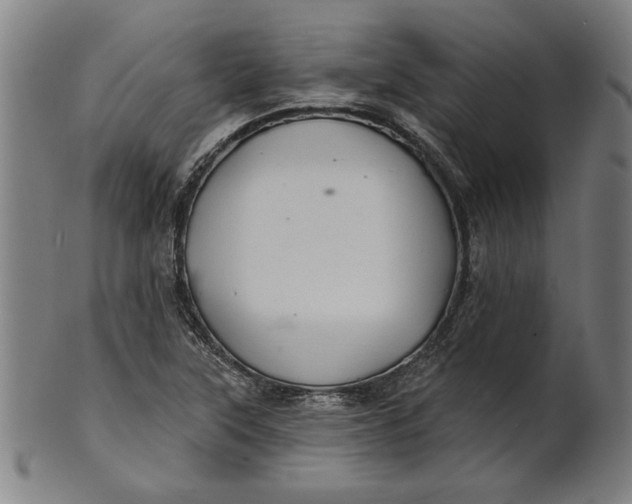 X0000100841315200807111142