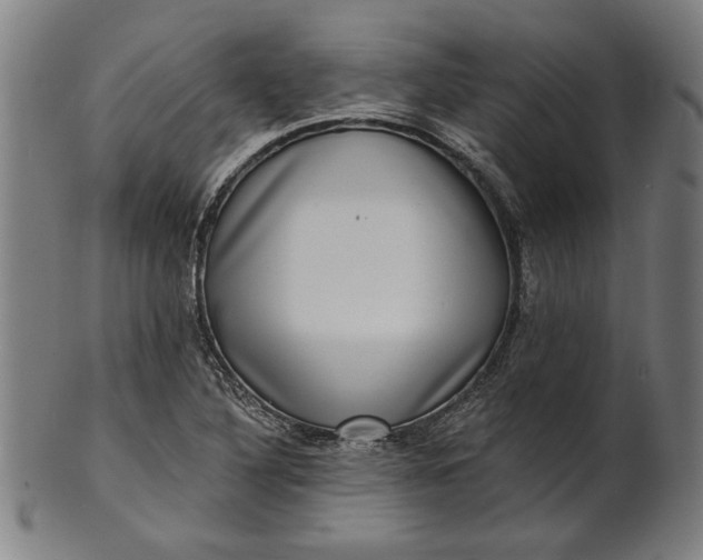 X0000100841316200807111142