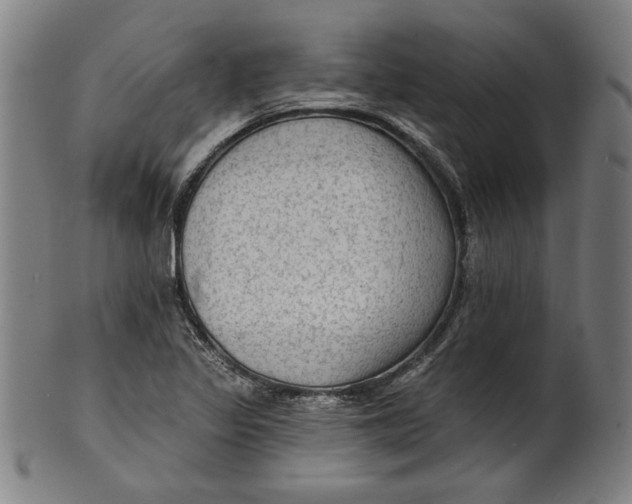 X0000100841317200807111142