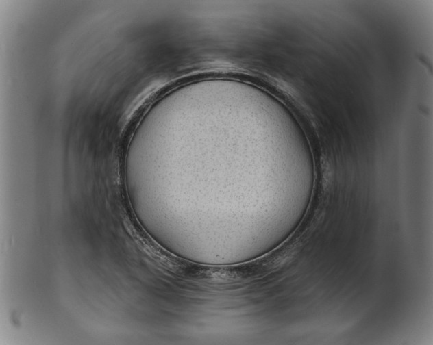 X0000100841318200807111142