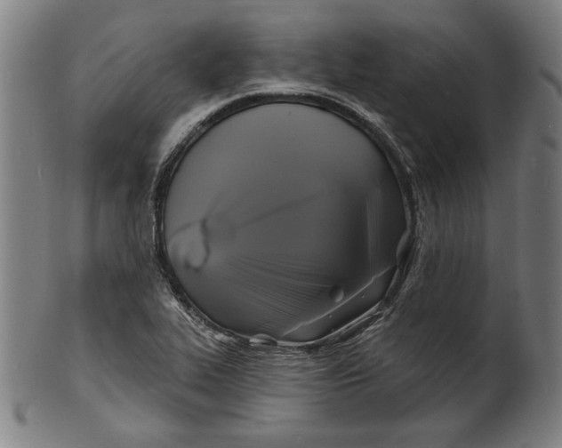 X0000100841319200807111142