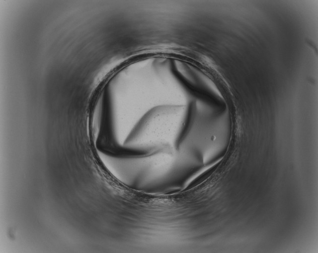 X0000100841320200807111142