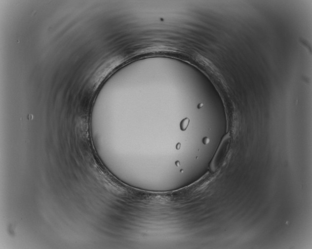 X0000100841321200807111142