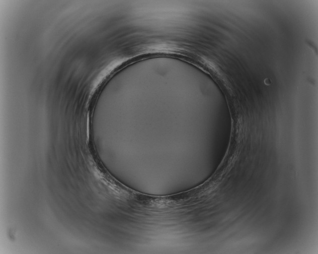 X0000100841323200807111142