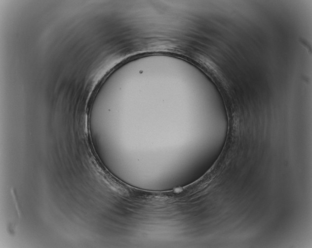 X0000100841324200807111142