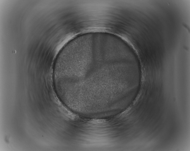 X0000100841325200807111142