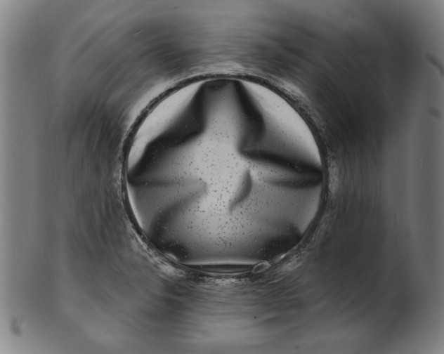 X0000100841326200807111142