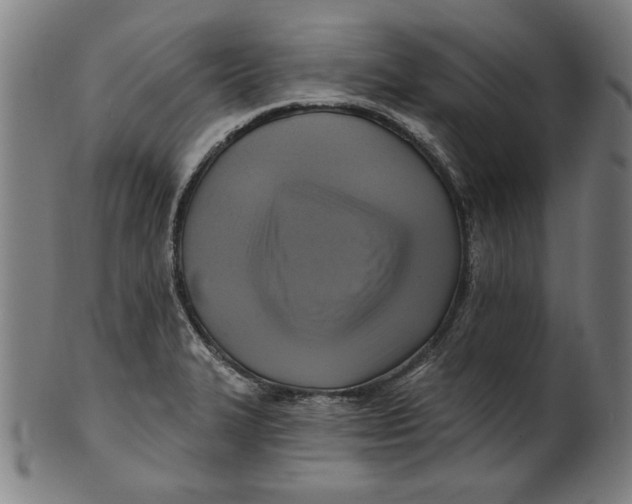 X0000100841327200807111142