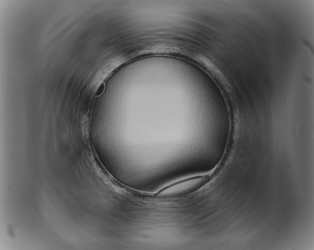 X0000100841329200807111142