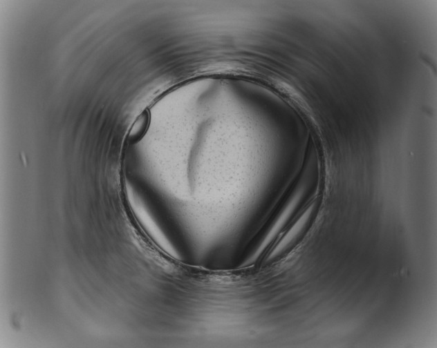 X0000100841330200807111142