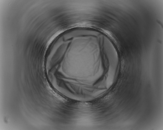 X0000100841331200807111142