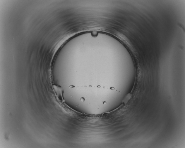 X0000100841332200807111142