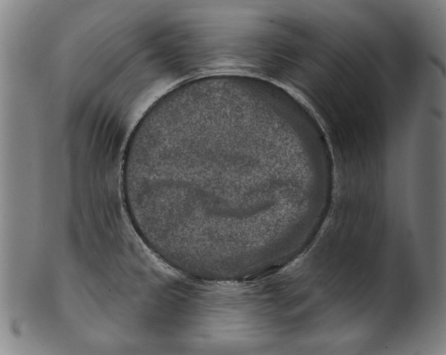 X0000100841333200807111142