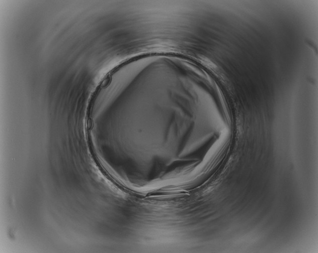 X0000100841334200807111142