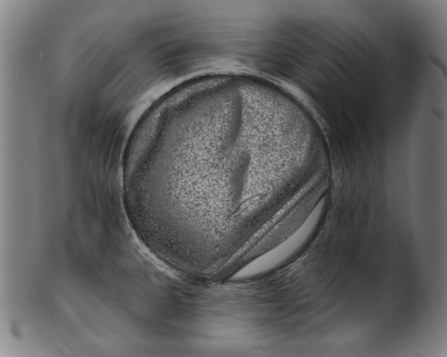 X0000100841335200807111142