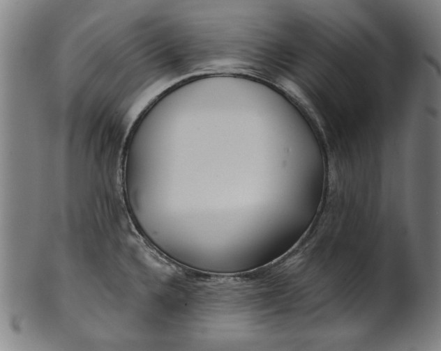 X0000100841336200807111142