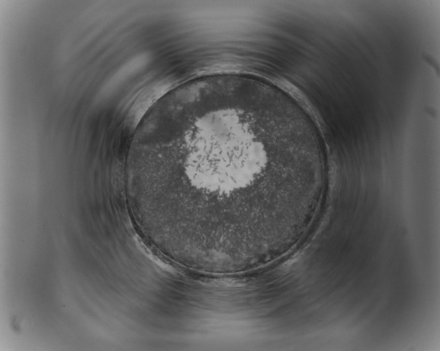 X0000100841337200807111142