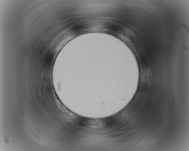 X0000100841338200807111142