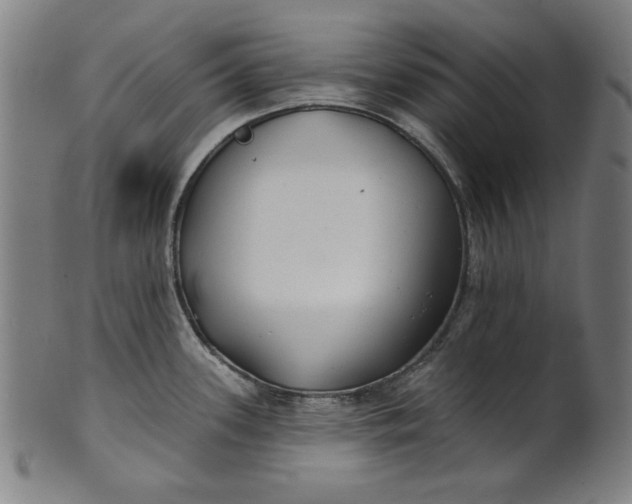 X0000100841339200807111142