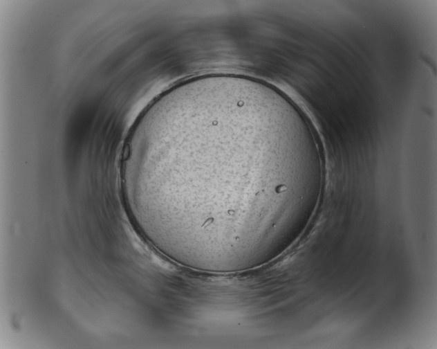 X0000100841341200807111142