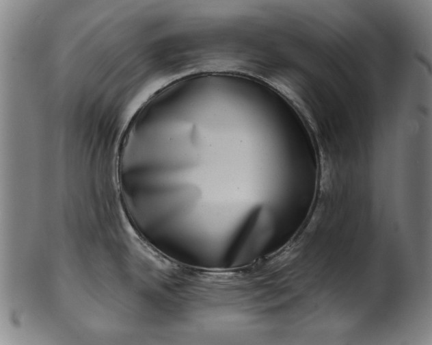 X0000100841342200807111142