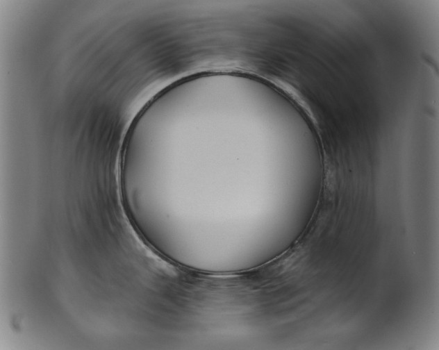 X0000100841343200807111142