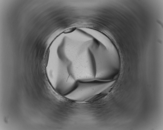 X0000100841344200807111142