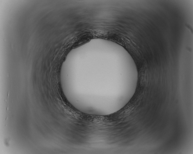 X0000100841345200807111141