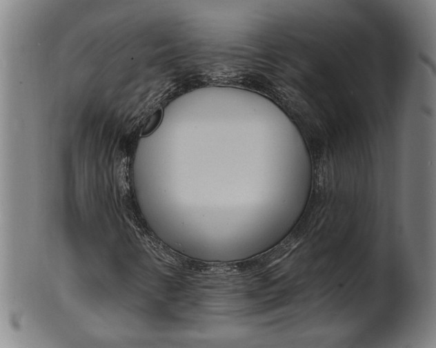 X0000100841346200807111141