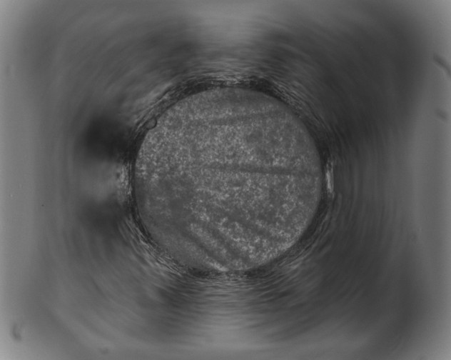 X0000100841347200807111141