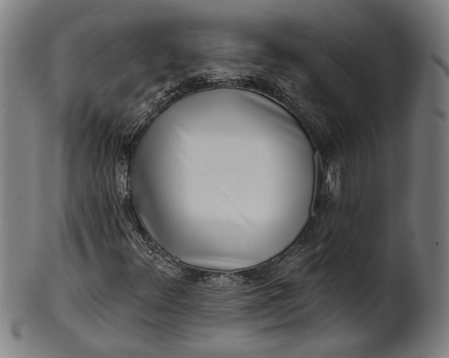 X0000100841348200807111141